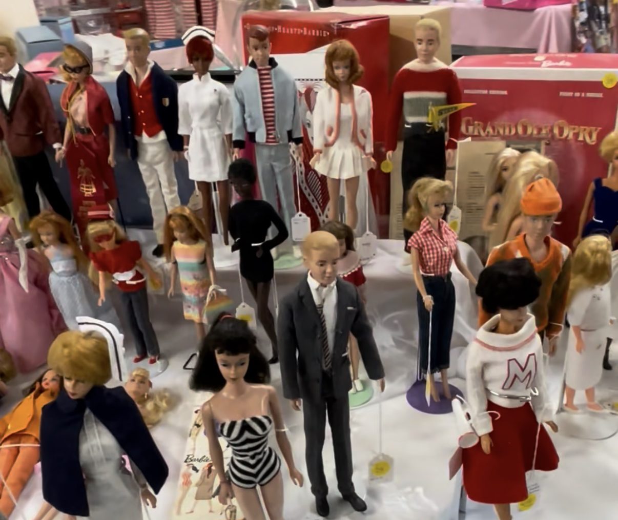 IMG 0136 E1774313220715